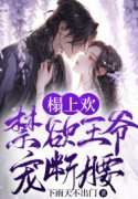 洛南夕龙城阙小说叫什么（榻上欢