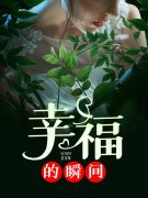 幸福的瞬间最新章节，幸福的瞬间