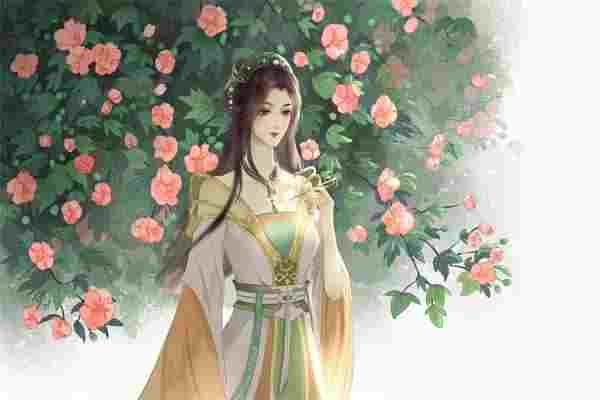 别惹腹黑首辅，我家大人脾气不太好小说免费阅读