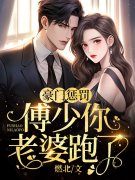 豪门惩罚：傅少你老婆跑了傅菲傅
