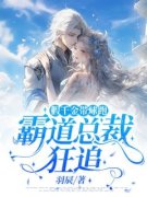 《叶晚晚陆晏》小说全文精彩试读