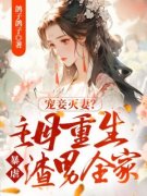 《叶娇娥陆远之》小说章节目录免