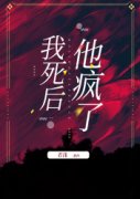 我死后，他疯了小说，我死后，他