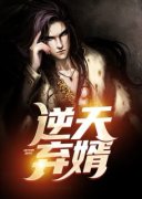逆天弃婿苏渊苏晴小说在线阅读全