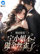 小说《婚前错爱，宁小姐不做金丝