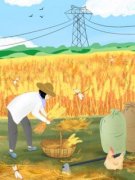 《卓跃赵媛》小说免费阅读 《卓跃