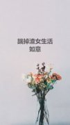 叶南尘苏盈主角踹掉渣女生活如意