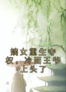 《叶流锦萧琮》小说全文精彩阅读