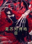 《夏苏知傅皓臣》完结版在线试读