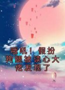 主角是陆乐祁晏的小说 《哦吼！假