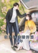《和陈锋结婚的第四年》小说免费