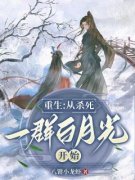 《重生：从杀死一群白月光开始》