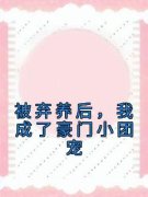 被弃养后，我成了豪门小团宠全文