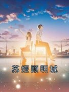 《苏娅顾明城》小说章节免费试读