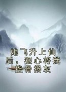 黎宿江揽月忘尘小说全集免费在线