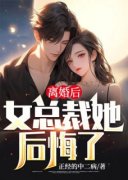 《萧羽叶倾城》小说章节目录免费