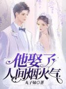 他娶了人间烟火气完整全文阅读 林