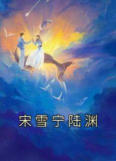 宋雪宁陆渊
