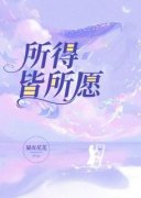 所得皆所愿沈澜叶风小说完整篇在