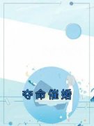 《夺命催婚》小说大结局在线阅读