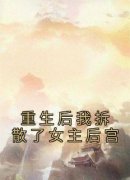 重生后我拆散了女主后宫小说免费