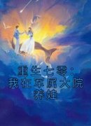 重生七零：我在军属大院养娃完整
