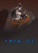 《大魏武霸：陆泽》小说主角陆泽
