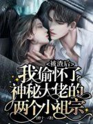 《被渣后，我偷怀了神秘大佬的两