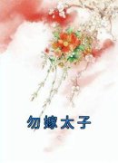 《勿嫁太子》秦昭成琏章节目录在