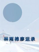 林雨棉廖运承林雨棉廖运承小说全