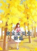 夜太太天生娇纵完整版全文阅读 影