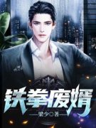 铁拳废婿小说最新章节免费阅读（