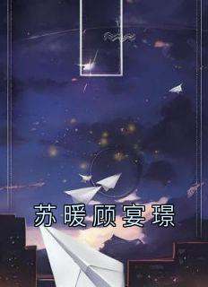 苏暖顾宴璟