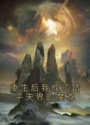 重生后我成了踏平天界的魔尊精彩