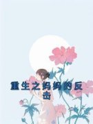 小说重生之妈妈的反击白凤薇许成