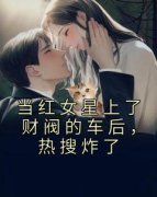 景稚傅京辞大结局在线阅读 《当红