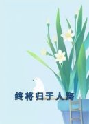 《终将归于人海》小说免费阅读 陆