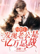 主角是闪婚后，发现老公是亿万总