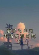 主角是林知知陆子航的小说在哪看