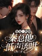 霍语凝秦忱小说 强宠，明撩，秦总