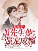 主角是苏曼萧北声的小说 《蓄谋已