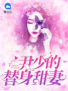 尹少的替身甜妻《曲优优尹夜辰》