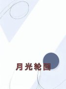 《月光轮回》小说完结版在线阅读