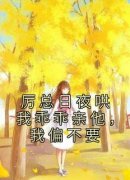 热文《姜糖厉慕野》厉总日夜哄我