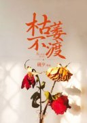 《江蔚贺誉》大结局精彩阅读 《江