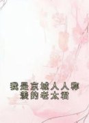林如珍梁文思by我是京城人人称羡的