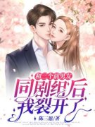 《鹿和陆今安》小说全文精彩阅读