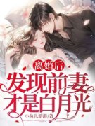 离婚后，发现前妻才是白月光小说