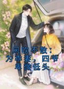 《风吹不散：为乖妻，四爷卑微低
