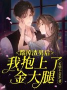 江星晚司夜辰精彩章节全文全集精